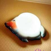 ヒメ日記 2025/10/03 23:10 投稿 ちさ 美熟女倶楽部Hip's 春日部店