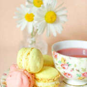 ちさ P.S.元気です。 美熟女倶楽部Hip's 春日部店