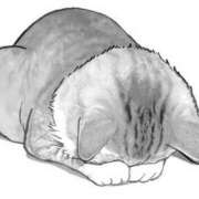 ヒメ日記 2025/02/01 17:15 投稿 れい ココリラ吉祥寺・調布店