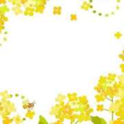 ヒメ日記 2025/03/20 19:02 投稿 ゆき 【オナクラ】HAND MAID（ハンドメイド） 梅田店