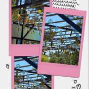 ヒメ日記 2025/05/08 22:22 投稿 明智由奈 五十路マダム 郡山店