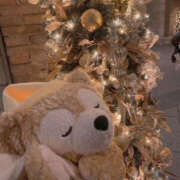 ヒメ日記 2025/03/10 22:24 投稿 みれい LAVISH(ラヴィッシュ)