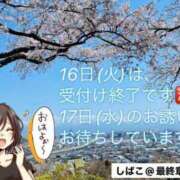 ヒメ日記 2024/04/11 06:55 投稿 しばこ 熟女の風俗最終章 本厚木店