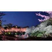 ヒメ日記 2025/04/08 14:13 投稿 新垣いちか ハールブルク