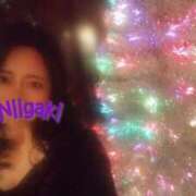 新垣いちか クリスマスには(俺通信1224) ハールブルク