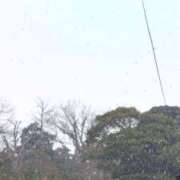 ヒメ日記 2026/02/07 14:03 投稿 新垣いちか ハールブルク