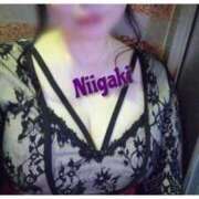 ヒメ日記 2026/02/16 09:20 投稿 新垣いちか ハールブルク