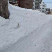 ヒメ日記 2026/02/24 18:20 投稿 新垣いちか ハールブルク