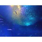 ヒメ日記 2026/03/09 09:35 投稿 新垣いちか ハールブルク