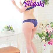 ヒメ日記 2026/03/25 08:29 投稿 新垣いちか ハールブルク