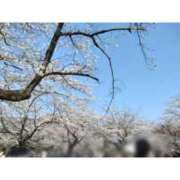 ヒメ日記 2026/03/28 21:42 投稿 新垣いちか ハールブルク