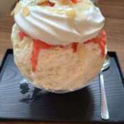 ヒメ日記 2026/04/08 14:00 投稿 新垣いちか ハールブルク