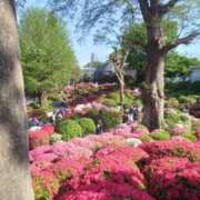 ヒメ日記 2026/04/14 16:20 投稿 新垣いちか ハールブルク