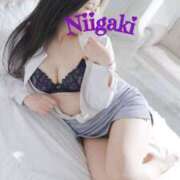 新垣いちか 本日遅め ハールブルク