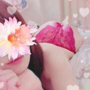 ヒメ日記 2025/02/15 02:34 投稿 キヌア キャンディ(鹿児島)