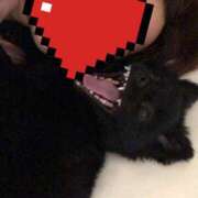 ヒメ日記 2025/06/16 23:42 投稿 キヌア キャンディ(鹿児島)