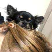 ヒメ日記 2025/09/15 02:20 投稿 キヌア キャンディ(鹿児島)