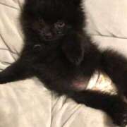 ヒメ日記 2026/02/27 01:35 投稿 キヌア キャンディ(鹿児島)