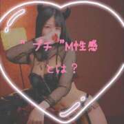 ヒメ日記 2025/03/23 12:57 投稿 らら 秒即DE舐めてミント池袋店