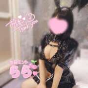 ヒメ日記 2025/04/17 12:29 投稿 らら 秒即DE舐めてミント池袋店