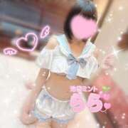 ヒメ日記 2025/06/08 19:19 投稿 らら 秒即DE舐めてミント池袋店