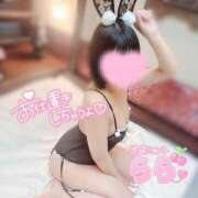 ヒメ日記 2025/06/17 12:59 投稿 らら 秒即DE舐めてミント池袋店