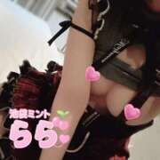 ヒメ日記 2026/03/07 12:45 投稿 らら 秒即DE舐めてミント池袋店