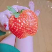 ヒメ日記 2024/12/31 17:01 投稿 はる 奥様なでしこ