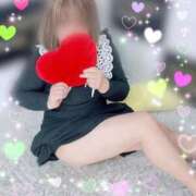 ヒメ日記 2025/08/11 18:49 投稿 るみこ 奥様なでしこ