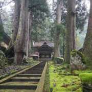 ヒメ日記 2025/12/25 09:34 投稿 いお 熟女家 京橋店