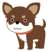 ヒメ日記 2026/02/16 15:41 投稿 みこと SUZUME