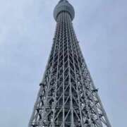 ヒメ日記 2026/04/07 09:01 投稿 みこと SUZUME