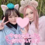 ヒメ日記 2026/04/14 19:06 投稿 るみ おねだり！ココナッツ