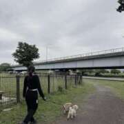 ヒメ日記 2025/05/18 19:52 投稿 みる ニューティアラ