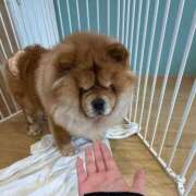 ヒメ日記 2026/03/27 16:19 投稿 みる ニューティアラ