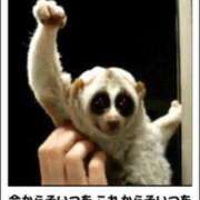 ヒメ日記 2024/12/09 14:56 投稿 瑞穂 あかり 30代40代50代と遊ぶなら博多人妻専科24時