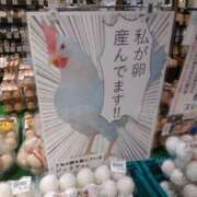 ヒメ日記 2025/01/17 17:10 投稿 瑞穂 あかり 30代40代50代と遊ぶなら博多人妻専科24時