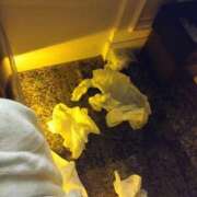 ヒメ日記 2025/03/12 12:07 投稿 瑞穂 あかり 30代40代50代と遊ぶなら博多人妻専科24時