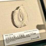 ヒメ日記 2025/03/16 10:04 投稿 瑞穂 あかり 30代40代50代と遊ぶなら博多人妻専科24時