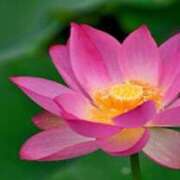 ヒメ日記 2025/03/24 18:02 投稿 瑞穂 あかり 30代40代50代と遊ぶなら博多人妻専科24時