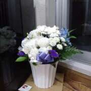 ヒメ日記 2025/04/01 20:47 投稿 瑞穂 あかり 30代40代50代と遊ぶなら博多人妻専科24時