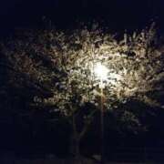 ヒメ日記 2025/04/08 20:56 投稿 瑞穂 あかり 30代40代50代と遊ぶなら博多人妻専科24時