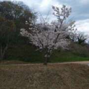 ヒメ日記 2025/04/10 18:53 投稿 瑞穂 あかり 30代40代50代と遊ぶなら博多人妻専科24時