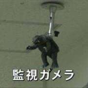 ヒメ日記 2025/04/14 09:00 投稿 瑞穂 あかり 30代40代50代と遊ぶなら博多人妻専科24時