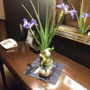 ヒメ日記 2025/04/26 09:15 投稿 瑞穂 あかり 30代40代50代と遊ぶなら博多人妻専科24時