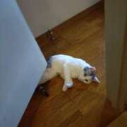 ヒメ日記 2025/07/08 10:03 投稿 瑞穂 あかり 30代40代50代と遊ぶなら博多人妻専科24時