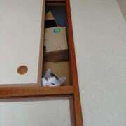 ヒメ日記 2025/07/24 13:47 投稿 瑞穂 あかり 30代40代50代と遊ぶなら博多人妻専科24時