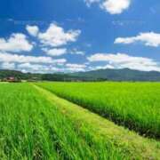 ヒメ日記 2025/08/02 18:51 投稿 瑞穂 あかり 30代40代50代と遊ぶなら博多人妻専科24時