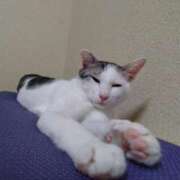 ヒメ日記 2025/10/24 15:17 投稿 瑞穂 あかり 30代40代50代と遊ぶなら博多人妻専科24時