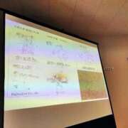 ヒメ日記 2025/11/02 10:49 投稿 瑞穂 あかり 30代40代50代と遊ぶなら博多人妻専科24時